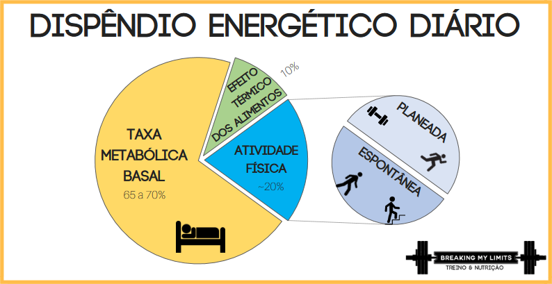 O dispêndio energético diário traduz o gasto de calorias por dia.
