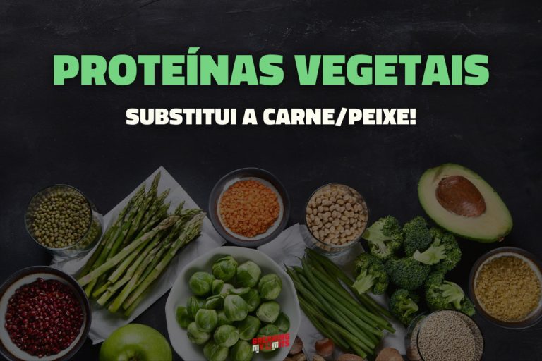 Descobre as melhores proteínas vegetais que substituem a carne e alcança os teus melhores resultados – sem precisar de produtos animais!