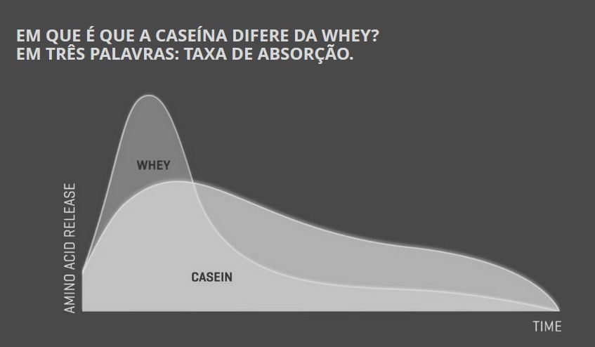 A caseína é uma proteína de absorção mais lenta e gradual do que a whey.