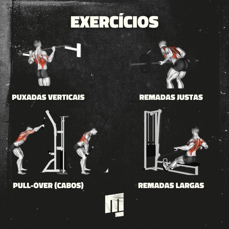 Exemplos de exercícios do treino de costas